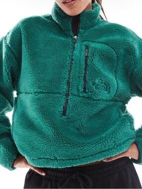 The North Face Extreme Pile Pullover Jacket in Pine Green. Medium